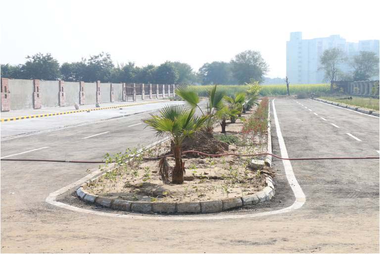 new1