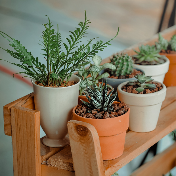 Vastu for Home: 15 Essential Vastu Tips for a New House