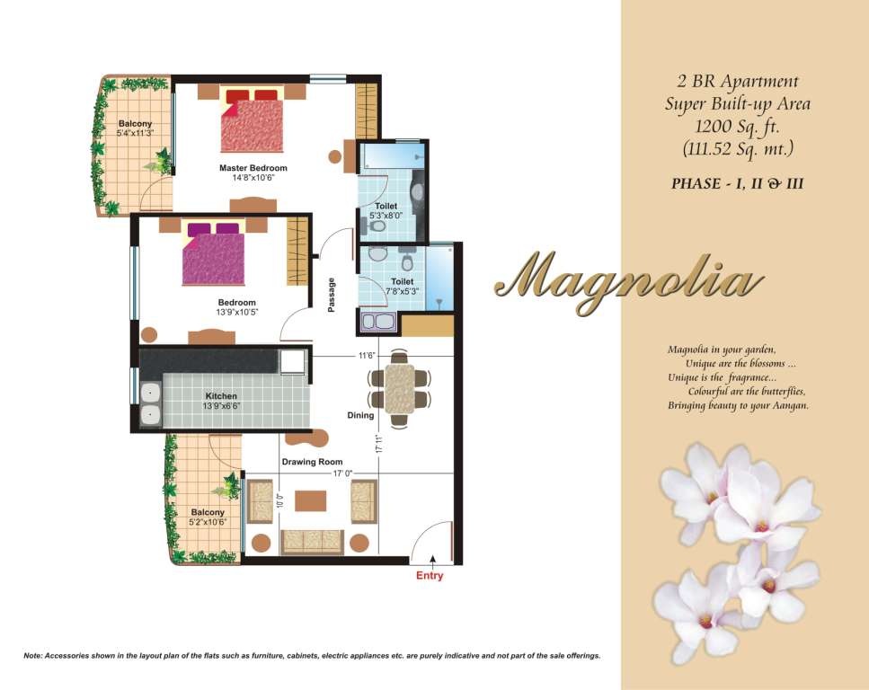 Magnolia